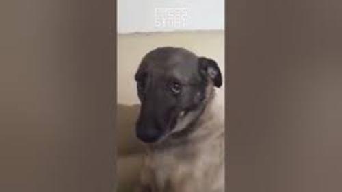 PLC ByNoelFath3r#2007